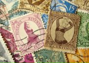 Фотография Васиной Надежды