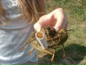 Фотография Стоговой Милки