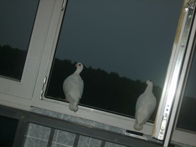 Александр Постников фотография #35