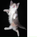 Фотография Меленберг Татьяны