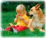 Аліна Василечко фотография #34 (источник - https://vk.com/id143778237)