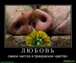 Фотография Мыслика Евгения