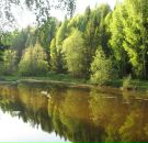 Фотография Сергеевой Валентины