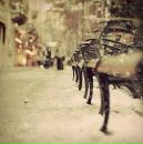 Фотография Титовой Юлии