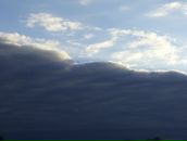 Алесь Войніч фотография #40 (источник - https://vk.com/id6149038)