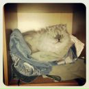 Андрій Тищенко фотография #42 (источник - https://vk.com/id2168476)