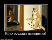 Сергій Притула фотография #15 (источник - https://vk.com/id105081679)