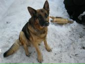 Фотография Озерцов Виктор