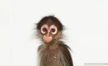 Фотография Кадиковой Лилии