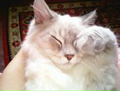 Фотография Ивановой Оксаны