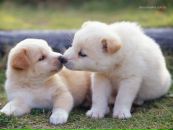 Каріна Сьомер фотография #1