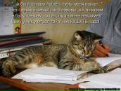 Світлана Блашко фотография #17 (источник - https://vk.com/id50099462)