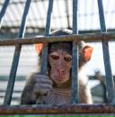 Фотография Страшков Сергей