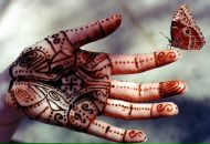 Фотография Акинцевой Анны