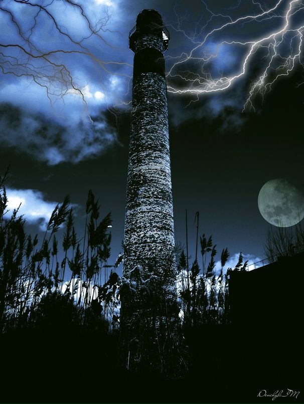 Den D фотография #31