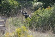 Назар Ільчишин фотография #24 (источник - https://vk.com/id15369710)