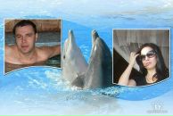 Фотография Барыбино Домодедово Грумер