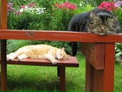 Фотография Хитрого Дмитрия