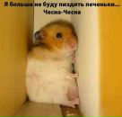 Фотография Самоделкина Ивана