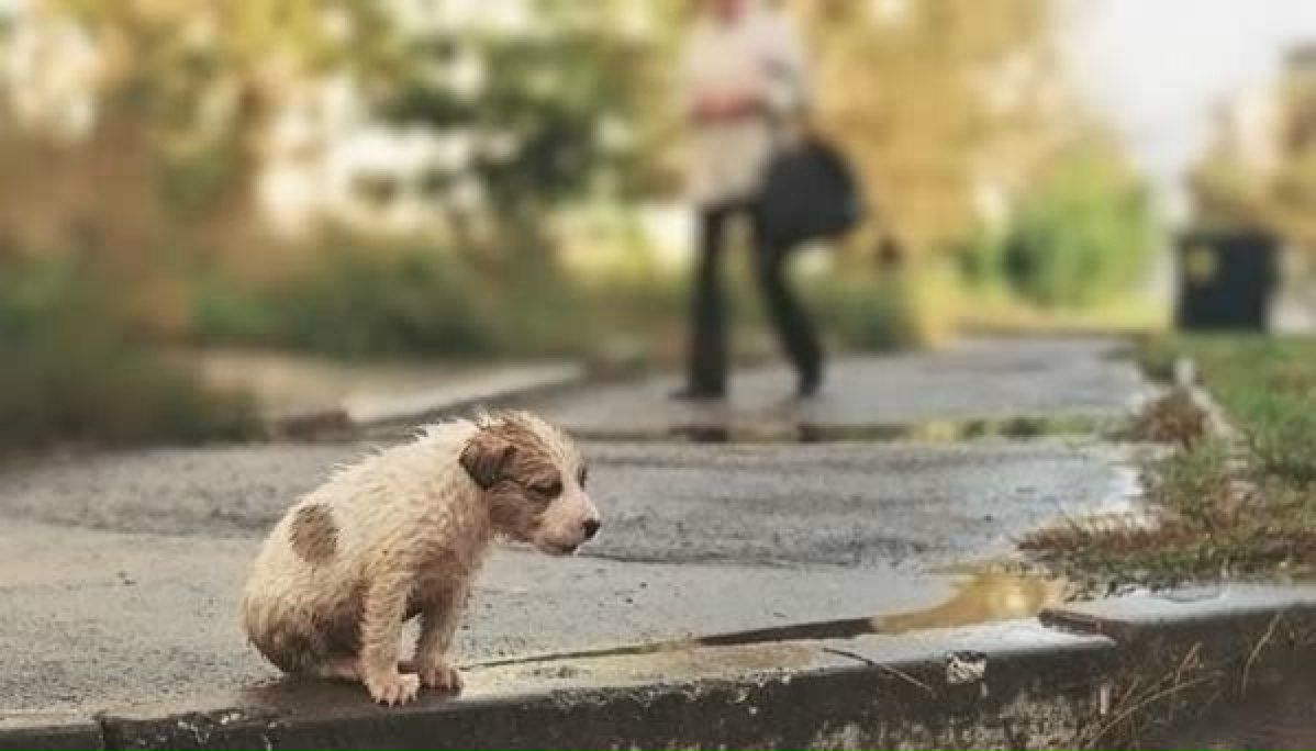 Elen Sss фотография #37