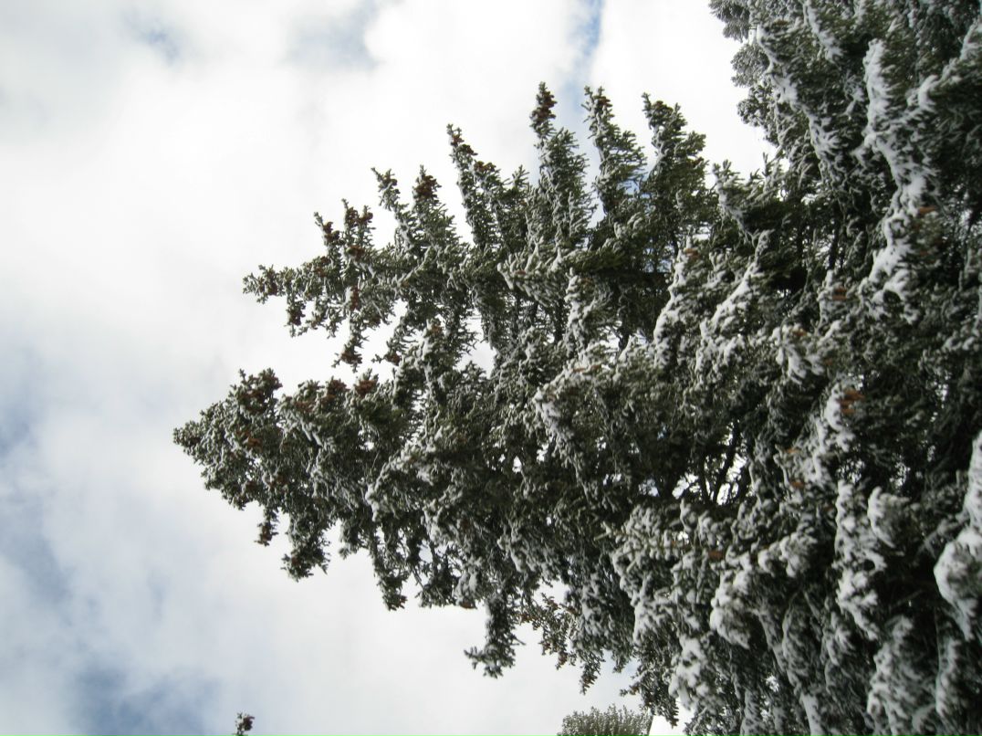 Григорий Поляков фотография #18