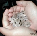 Іванка Мазурняк фотография #8 (источник - https://vk.com/id165470720)