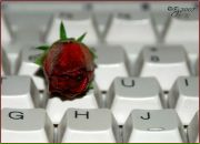 Оксана Олійник фотография #44 (источник - https://vk.com/id62631895)