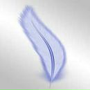 Олег Стрілець фотография #2 (источник - https://vk.com/id114448187)