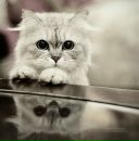 Лілія Микула фотография #44 (источник - https://vk.com/id154323285)