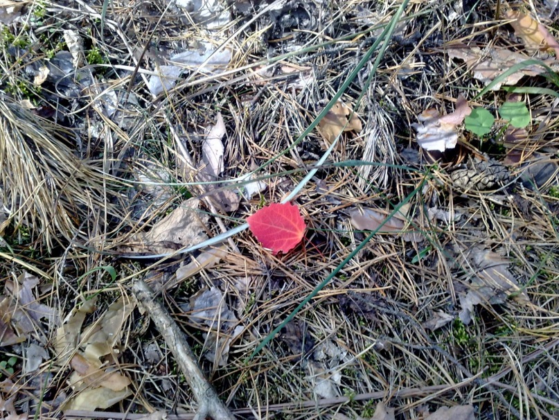 Этобыл Просто фотография #17