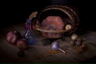 Светлана Смоленцева фотография #26 (источник - https://vk.com/id628926)