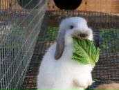 Фотография Солнце Ленка