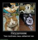 Іван Джичко фотография #13 (источник - https://vk.com/id132694973)