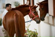 Фотография Твороговой Дарьи