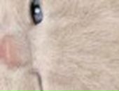 Вика Третьякова фотография #23 (источник - https://vk.com/id808294)