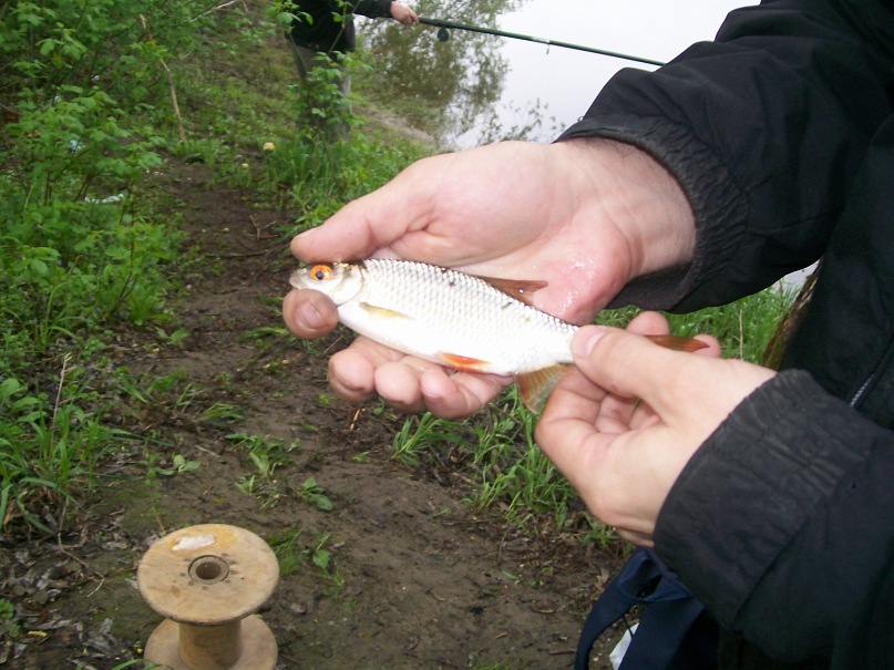 Слава Бабенко фотография #33