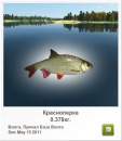 Руслан Тамріель фотография #12 (источник - https://vk.com/id133897242)
