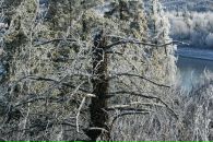 Оксана Мєльзарек фотография #32 (источник - https://vk.com/id13762583)