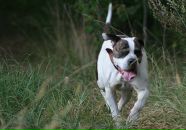 Дмитро Іванов фотография #30 (источник - https://vk.com/id7024687)