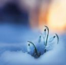 Юрій Гнатенко фотография #29 (источник - https://vk.com/id157707344)