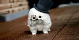 Фотография Серика Александра