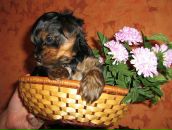 Фотография Рухтинова Игоря