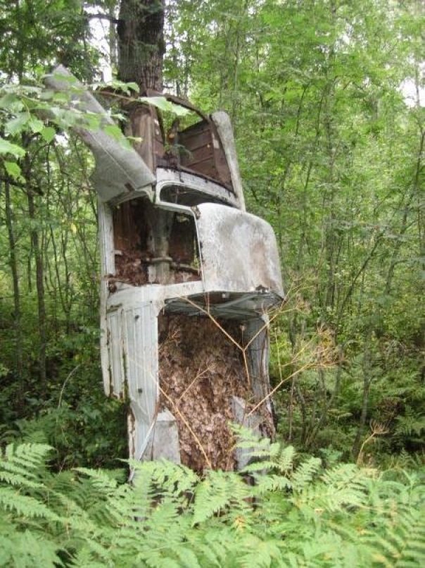 Сергей Черномыз фотография #45