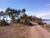 Дмитрий Крамарев фотография #49 (источник - https://vk.com/id274882)