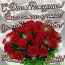 Діана Жданова фотография #10 (источник - https://vk.com/id168576607)