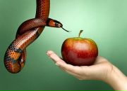 Фотография Ищенко Дмитрий