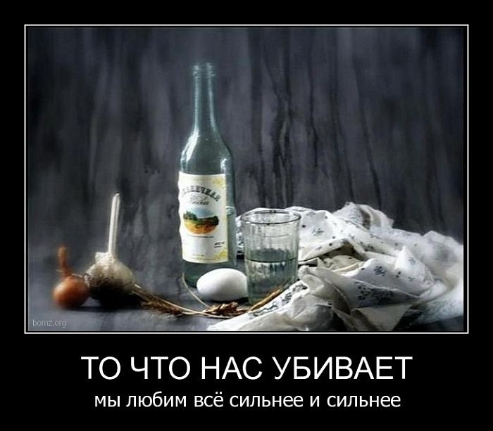 Qwesh Dv фотография #48