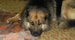 Фотография Варсеева Виталика