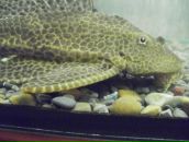 Міша Винників фотография #8 (источник - https://vk.com/id59281747)