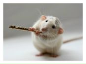 Фотография Антоновъ Никиты